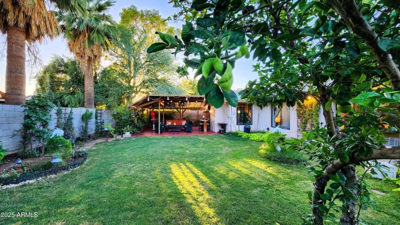 Backyard facing West 3