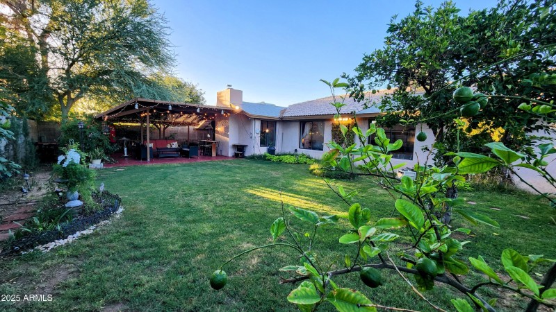 Backyard facing West 4