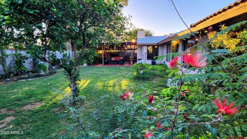 Backyard facing West