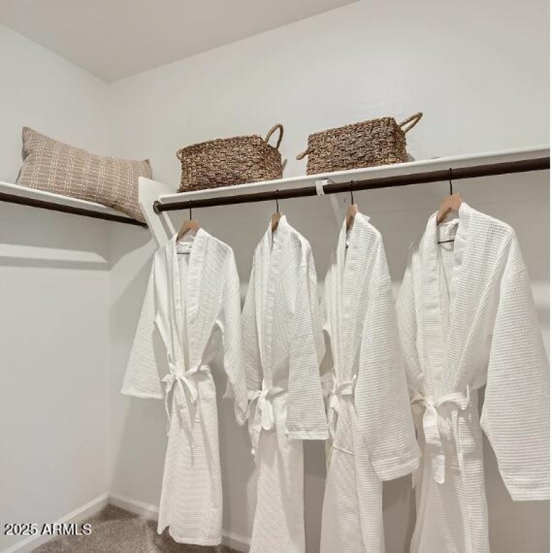 Owners Walk in Closet