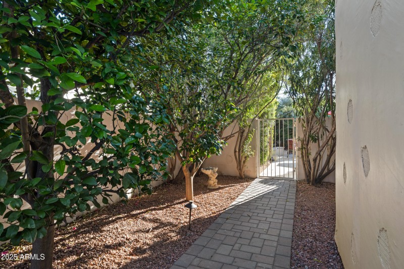 10115 E Bella Vista Dr-61