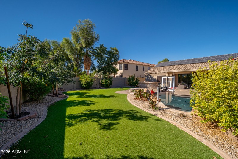 New trees and plants in backyard!