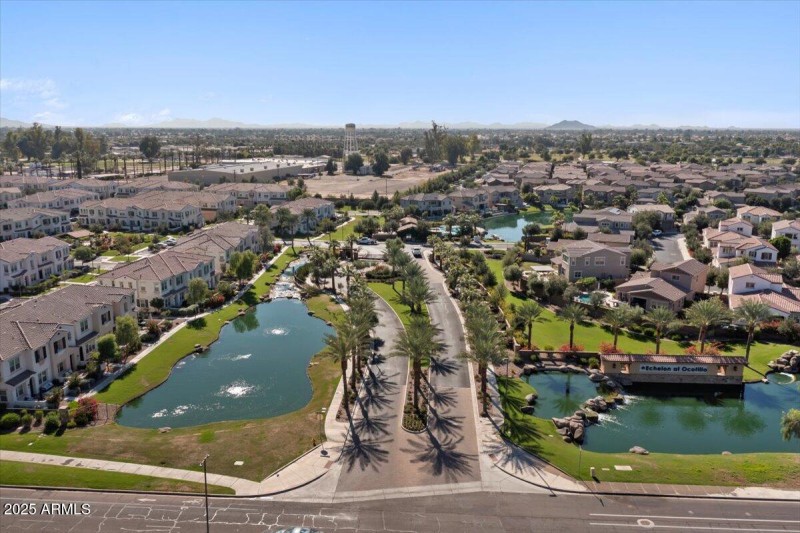 BEAUTIFUL ENTRY LINED WITH PALM TREES
