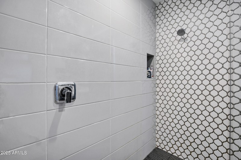 Upgraded Master Shower