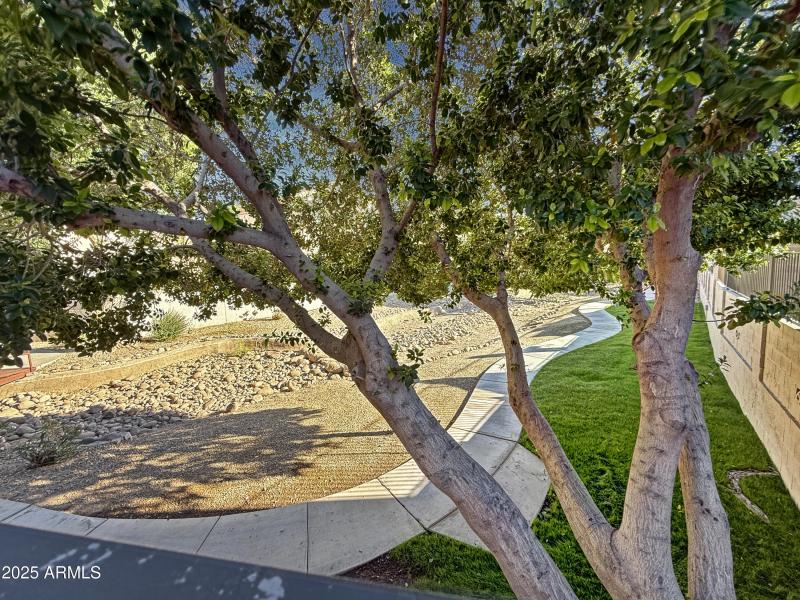 Scenic Walking Path and Open Space