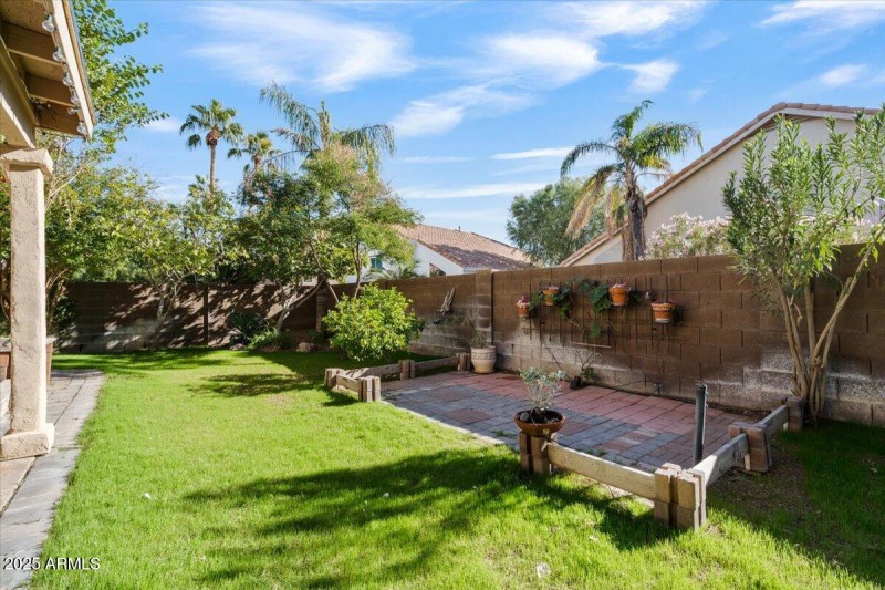 back yard other shot