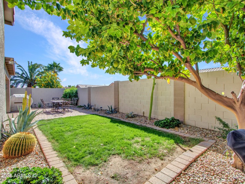 Green Lawn with Desert Plants