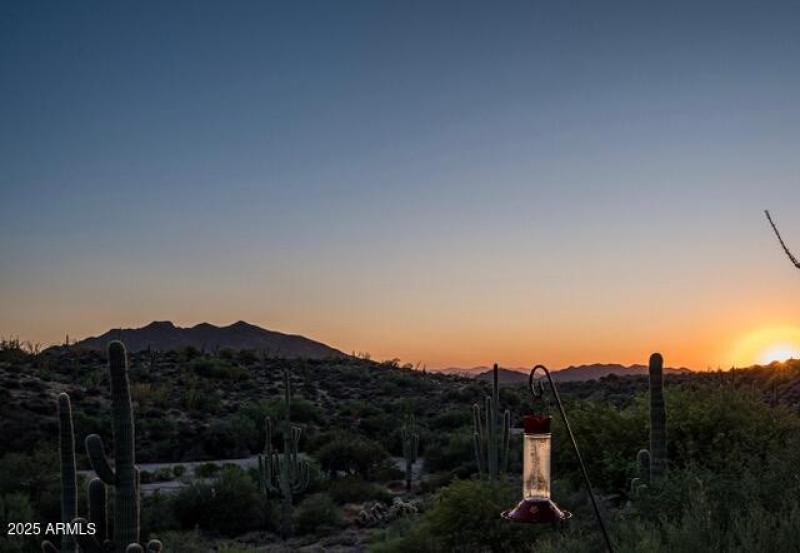 39601 N Ocotillo Rd Carefree-65