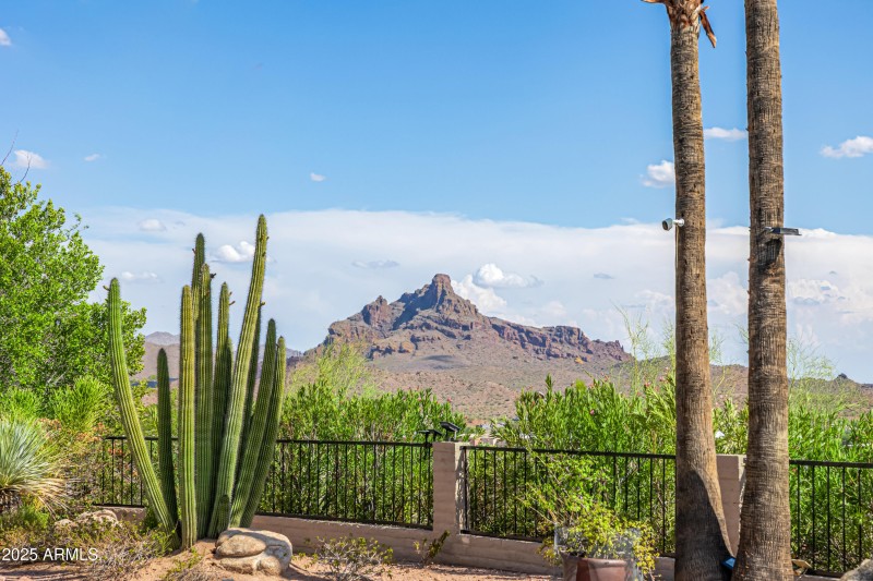 16557 E Nicklaus Dr Red Mountain from Po