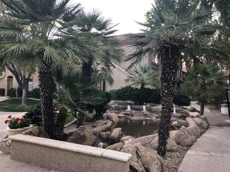 Beautiful Common Grounds