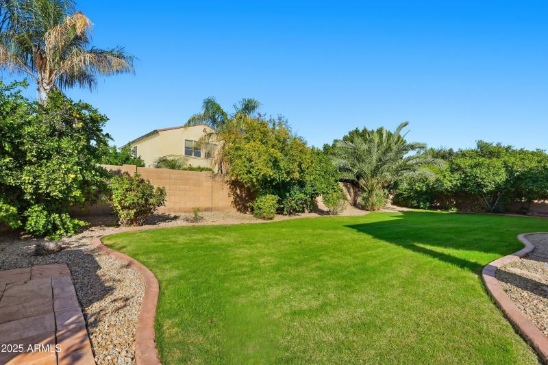 49-print-049_ListerPros