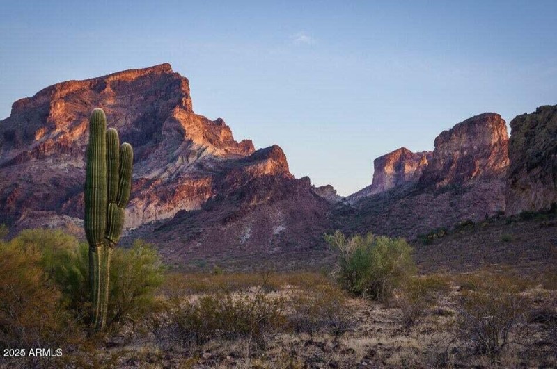 20250109204811115166000000-o