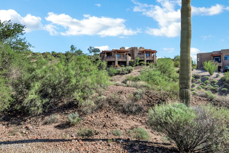 Surrounded by desert