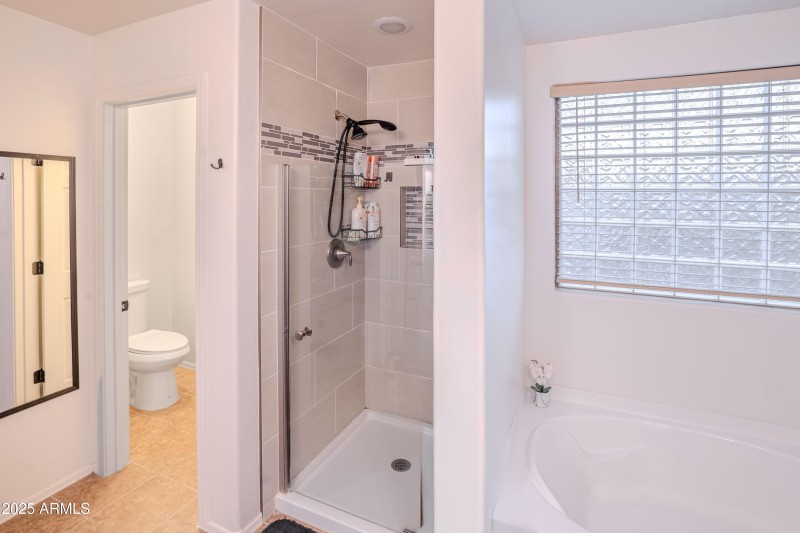 Master Bathroom Shower & Bathtub