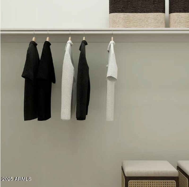 Owners Walk in Closet