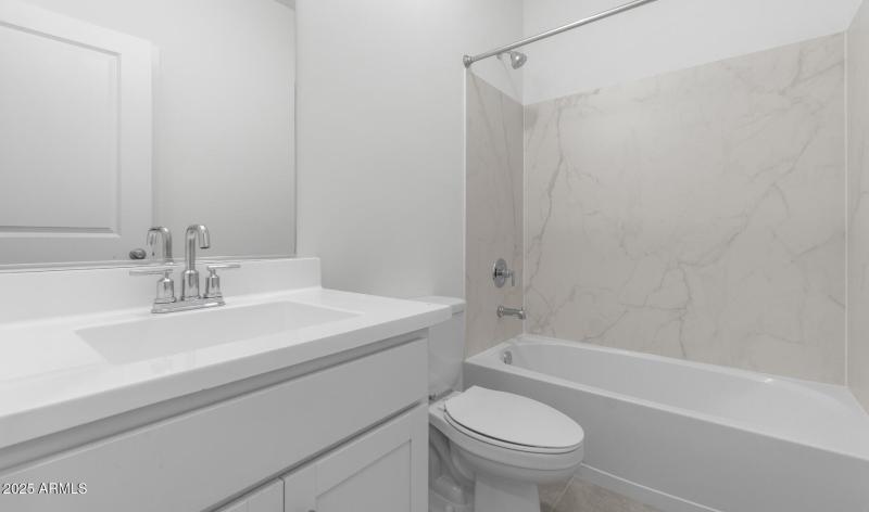 LS Lot #125 Hall Bath (Large)