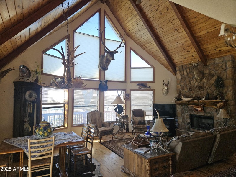 Great Windows with View