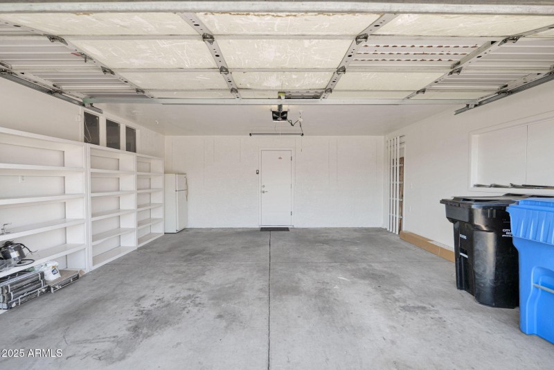 28-web-or-mls-P1360860