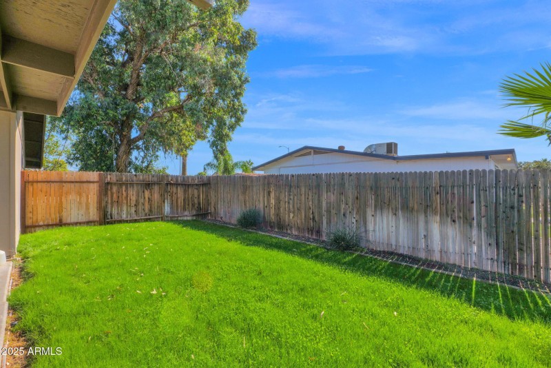 33-web-or-mls-P1360924