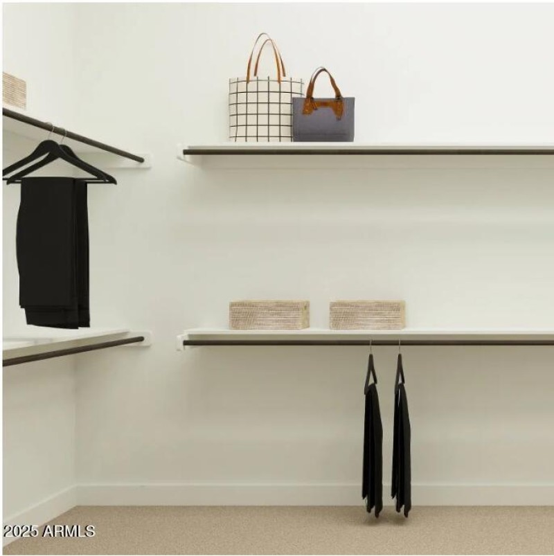 Owner's Walk in Closet