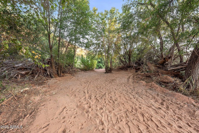 19-web-or-mls-A7S06362