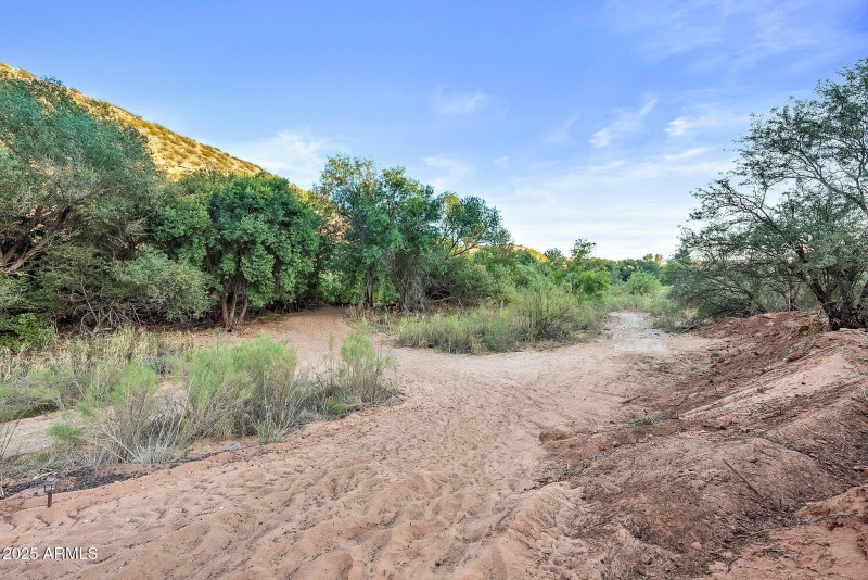 21-web-or-mls-A7S06372