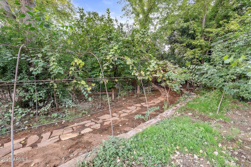 28-web-or-mls-A7S06407