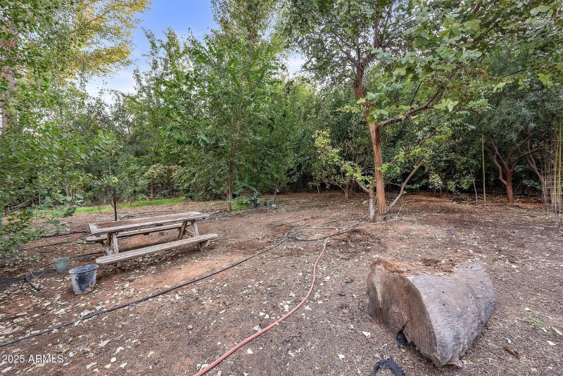 29-web-or-mls-A7S06412