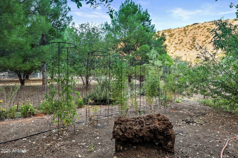 30-web-or-mls-A7S06417