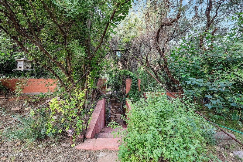 43-web-or-mls-A7S06482