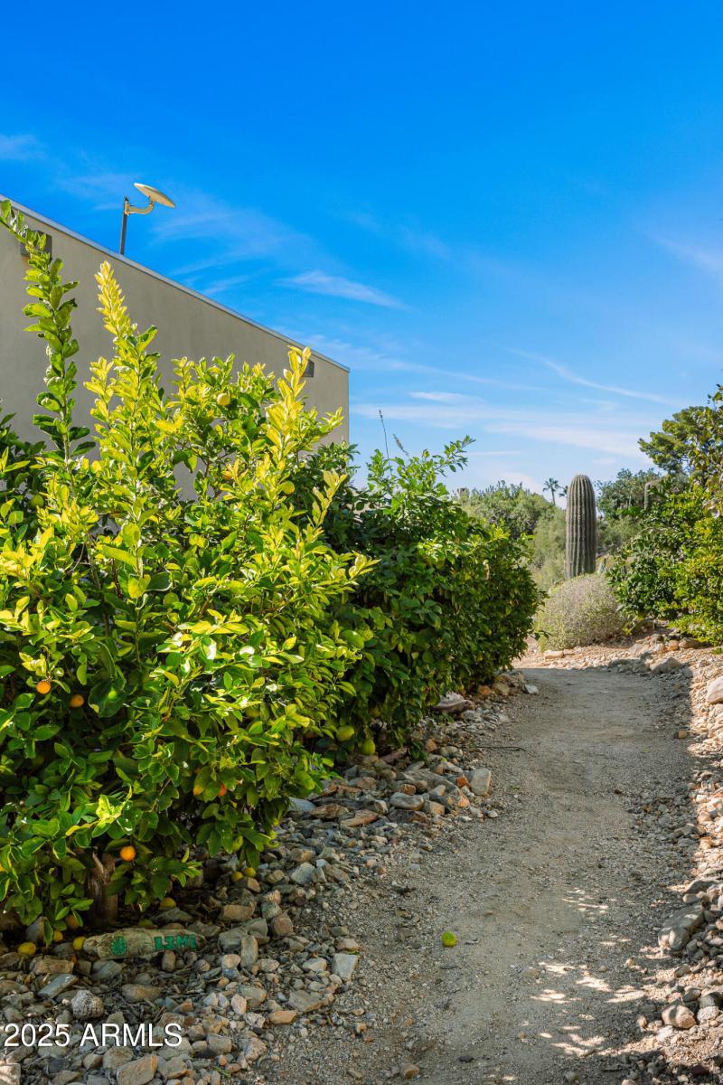 40citrus garden path
