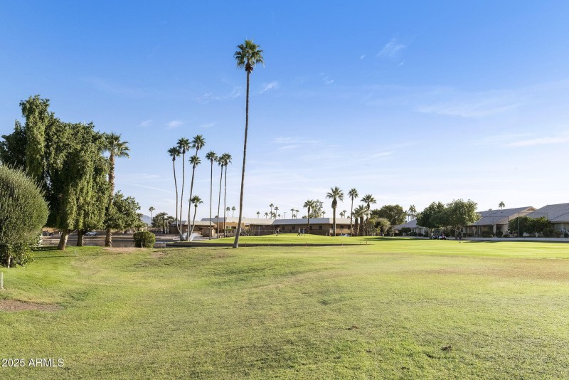 11-web-or-mls-DLB_8820