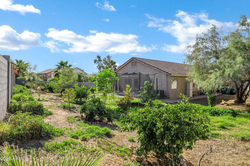 29849 N Mesquite Cir-43