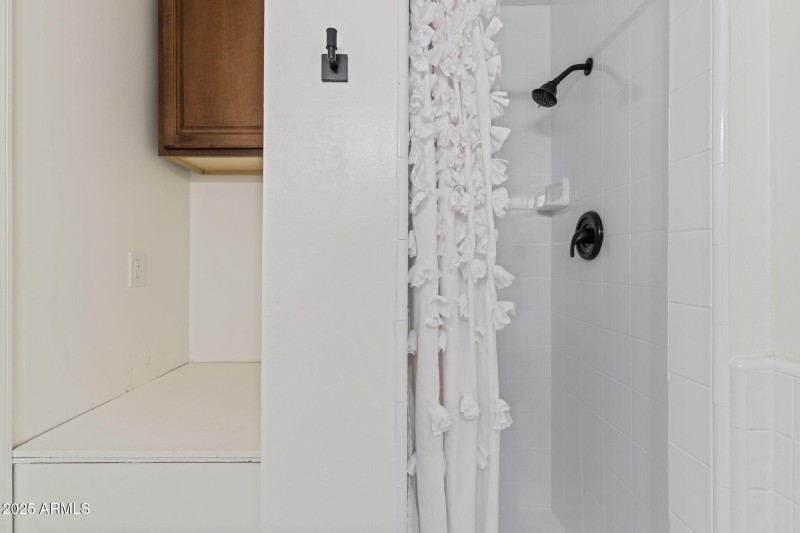 Shower in Basement Game Room