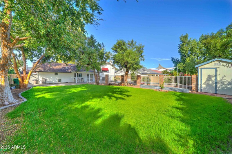Large grass area backyard