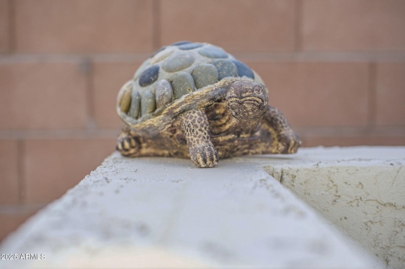 turtle-40558 W Park Hill Drive-37