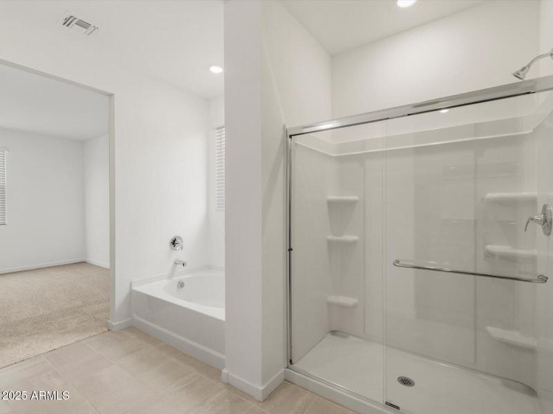 Primary Bathroom View 2