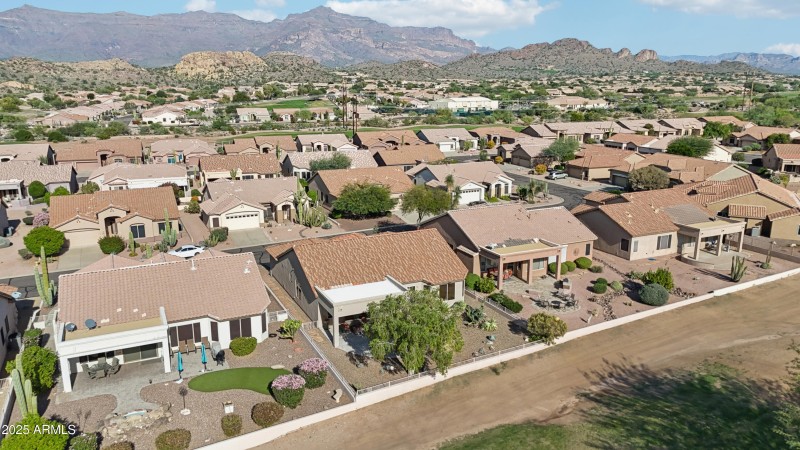 47-print-E Texas Ebony Dr-S1311-047