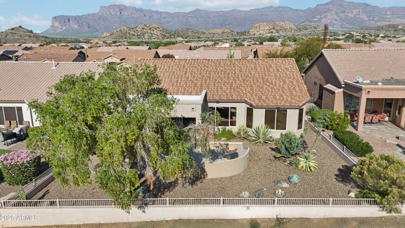 51-print-E Texas Ebony Dr-S1311-051