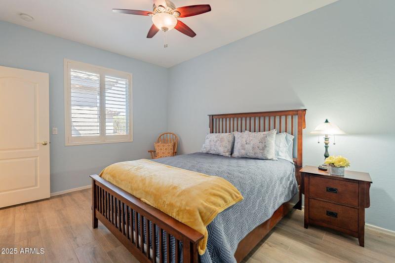 23-web-or-mls-Elderberry-23