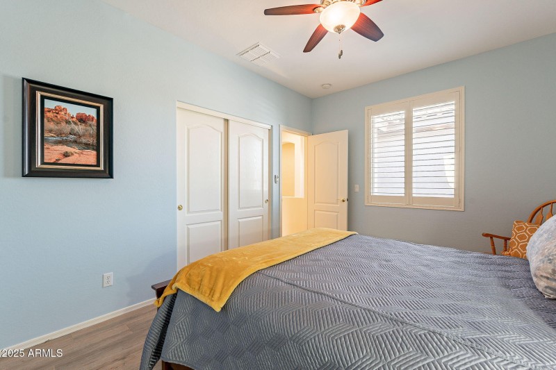 24-web-or-mls-Elderberry-24