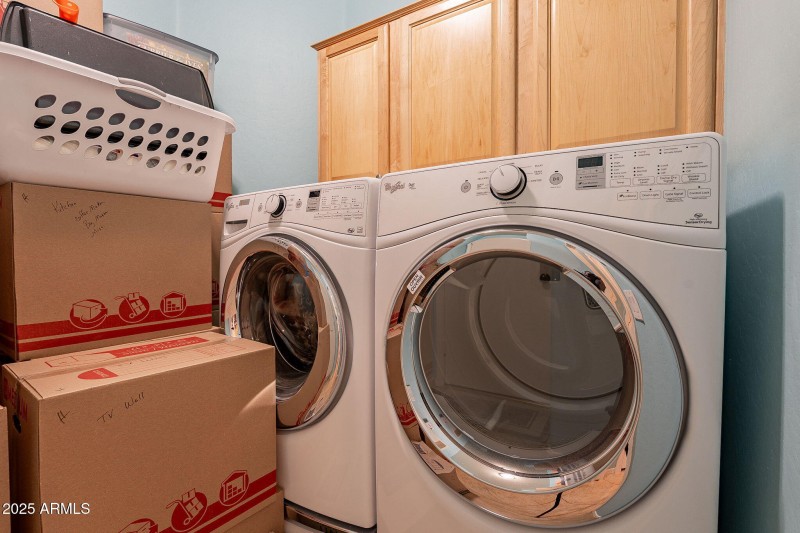 42-web-or-mls-Elderberry-42