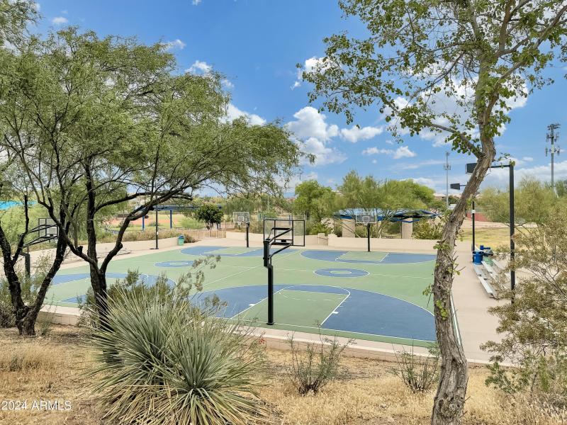 Golden Eagle basketball court