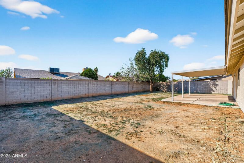 42_9025_W_Cinnabar42_mls