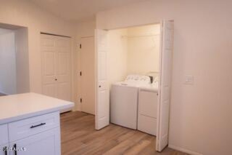 IMG_9369-Enhanced-NR Small