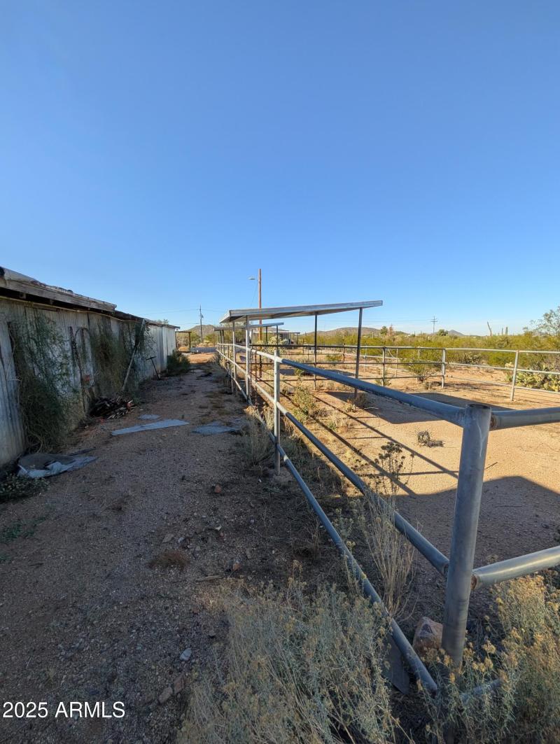 horse area