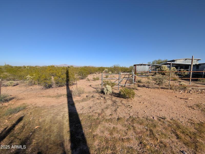 horse area