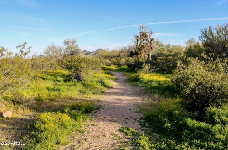 Sonoran Foothills Hiking Path