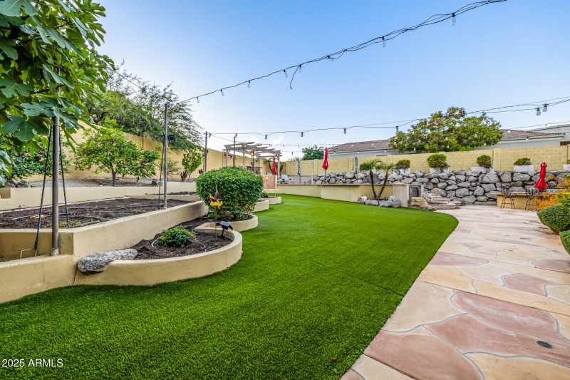 Garden and Citrus Trees