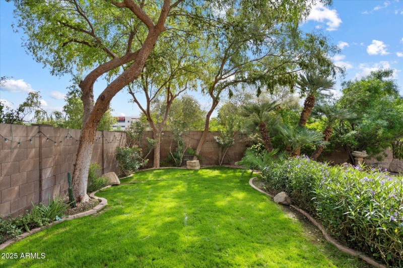 real grass play area